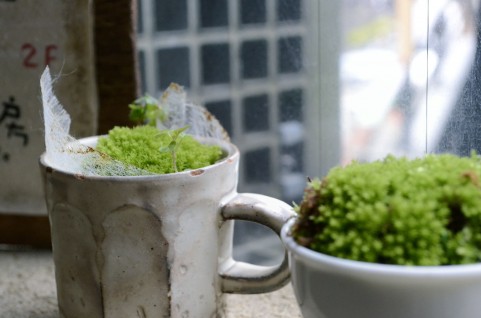 �J�t�F�~��