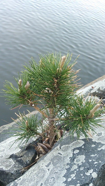 �����~��