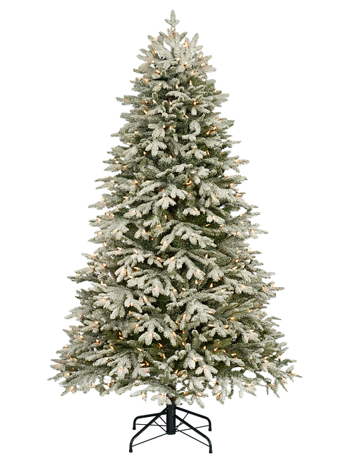 ���~�̖ؖ͌^