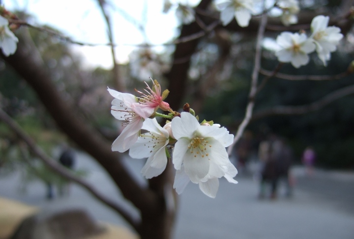 �~���~��