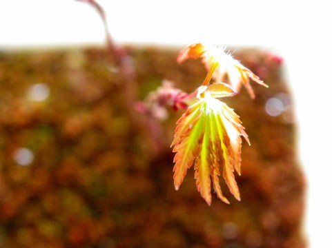 �R���~�W�~��