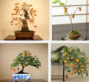 �����~��