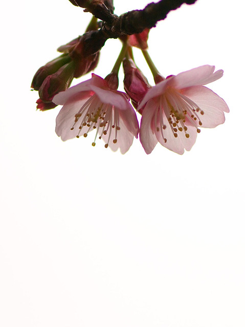 �����~��