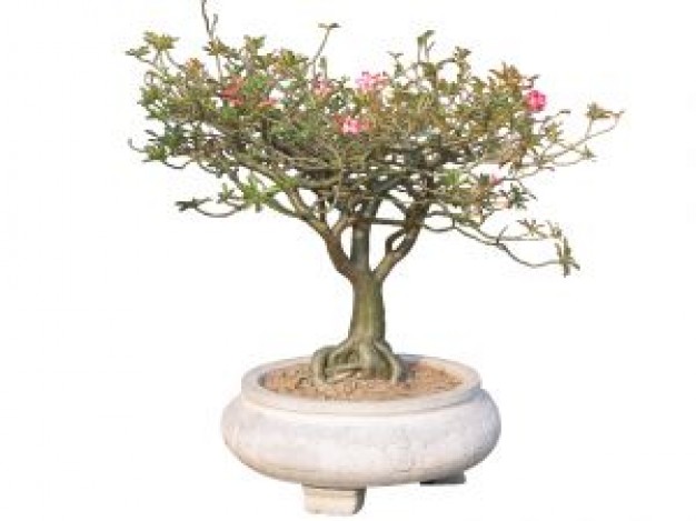 �P���L�~��