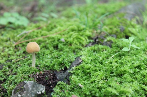 �L�m�R�~��