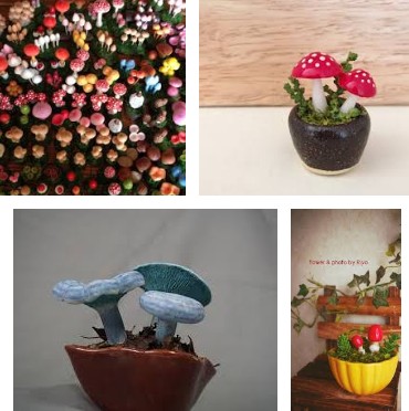 �L�m�R�~��