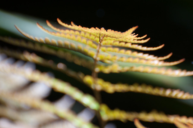 �R�K�l�V�_�~��