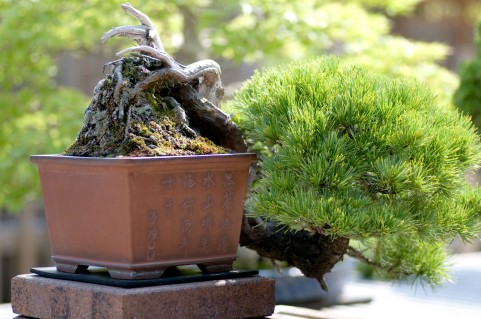 �����~��