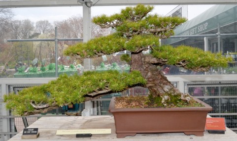 �ܗt���~��