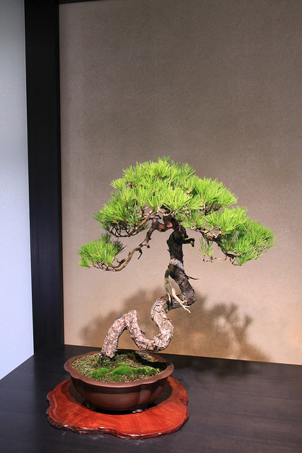 �����~��