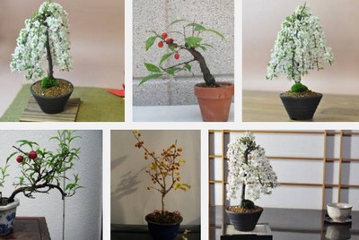 �j���E���~��