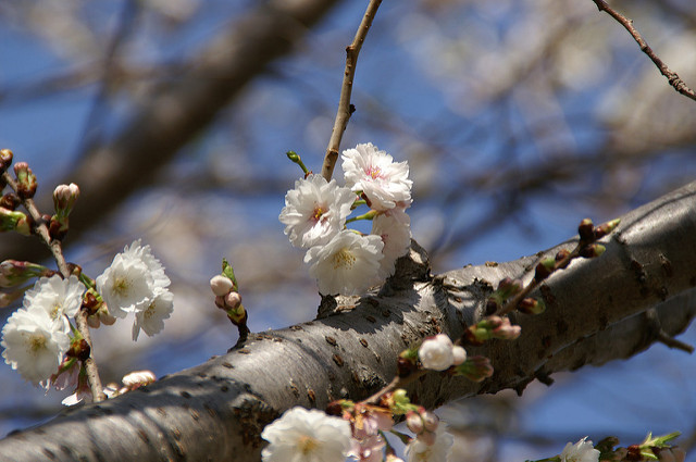 �q�����~��