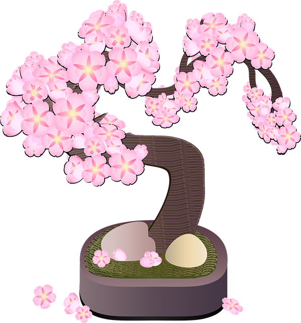 寒桜のミニ盆栽