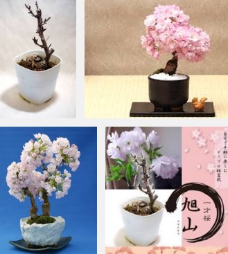 ��ˍ��~��