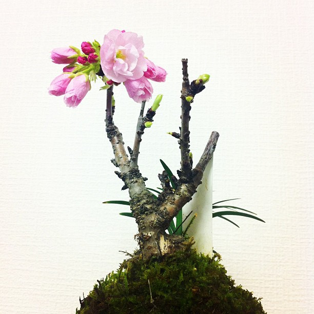 ������~��