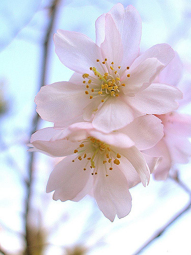 �x�m���~��