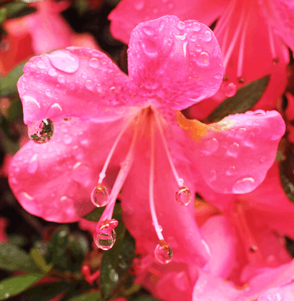 �T�c�L�~��