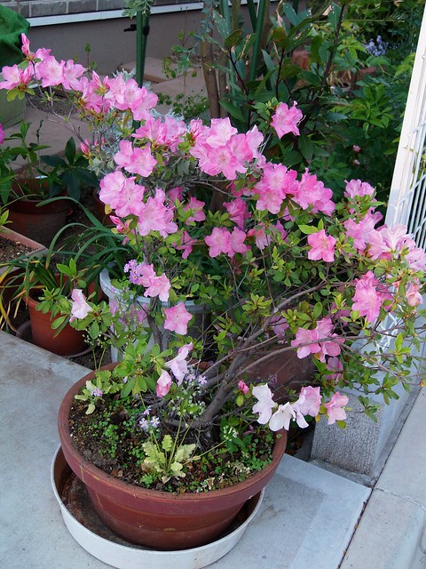 �T�c�L�~��