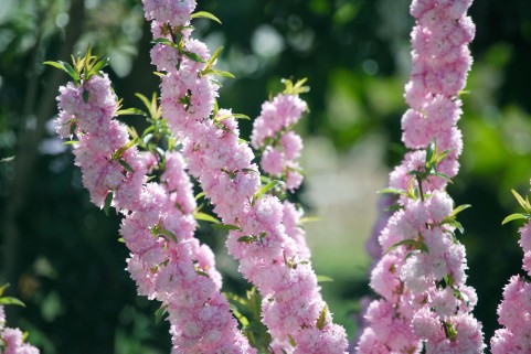 �j���E���~��